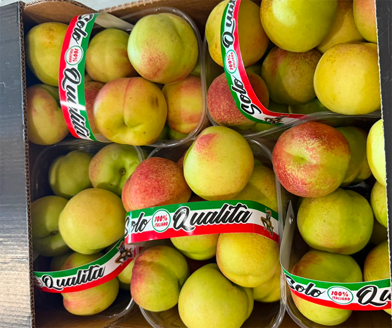 Pesche sbergie - Sicilia - 3,50 euro al chilogrammo